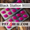 Black Stallion 9000 10